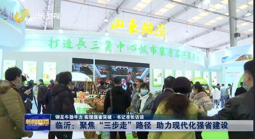 临沂都市爆料新闻最新,揭秘某神秘项目背后真相