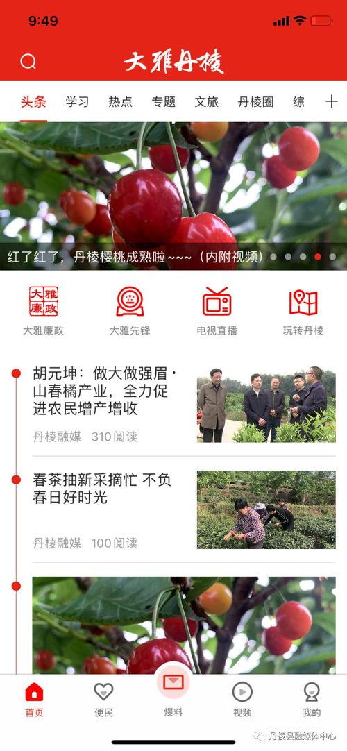 新闻爆料奖励政策,举报有功，奖金丰厚，共筑信息透明防线