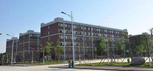 北部湾大学女生爆料视频,校园生活背后真相揭露