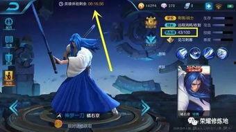 橘右京新闻爆料最新视频,神秘事件背后真相揭晓
