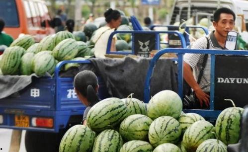 南京交院吃瓜资源免费,免费吃瓜资源大放送，校园生活新乐趣