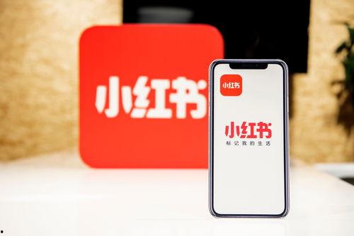 小红书爆料樊小慧视频,小红书爆料引发热议