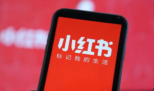 小红书爆料樊小慧视频,小红书爆料引发热议