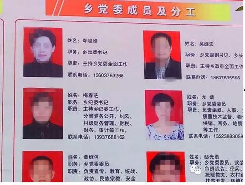 十三里桥爆料最新消息,揭秘事件背后惊人真相