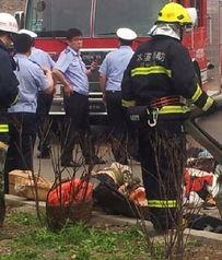 本溪最新爆料事件新闻,事件真相逐步浮出水面