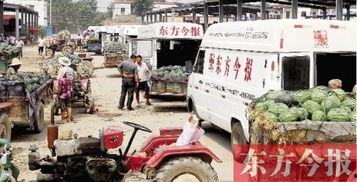 免费吃瓜中转站,揭秘网络娱乐新潮流