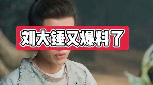 刘大锤最新爆料大s,真相究竟如何？
