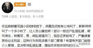 安徽怀远爆料最新消息,突发事件引发社会关注
