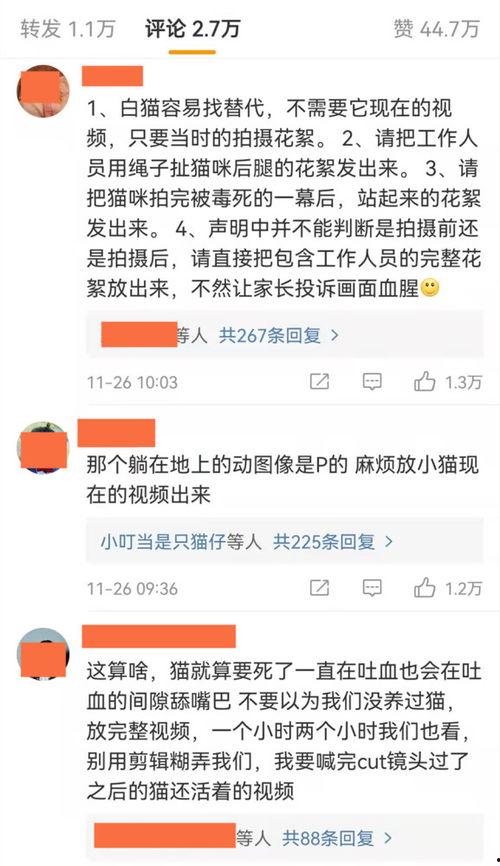 圈内群演爆料违法吗,爆料违法现象引关注