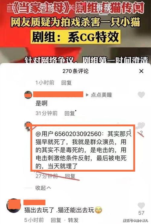 圈内群演爆料违法吗,爆料违法现象引关注