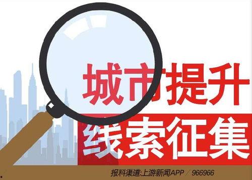 合肥新闻爆料热线电话,见证城市脉搏，倾听市民心声