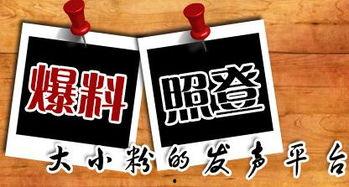 新闻爆料台电话,揭开媒体背后的神秘面纱