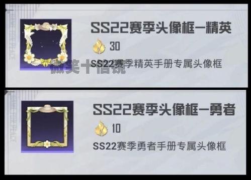 外国人爆料新赛季手册视频,外国人视角下的精彩亮点与幕后故事