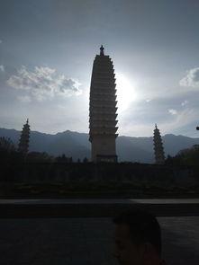 云南跟团爆料事件最新,揭秘团费背后的真相与困境
