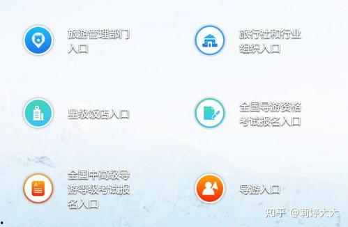 南京导游爆料视频播放时间,视频播放时间背后的惊人真相