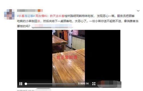 餐厅爆料视频,揭秘后厨操作与食品安全真相