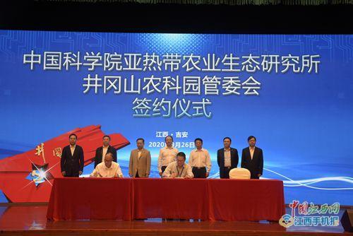 吉安米田科技最新爆料,颠覆性创新技术即将亮相，引领行业新潮流