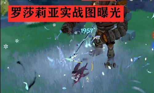 原神纳西坦最新爆料视频,神秘之地揭开神秘面纱