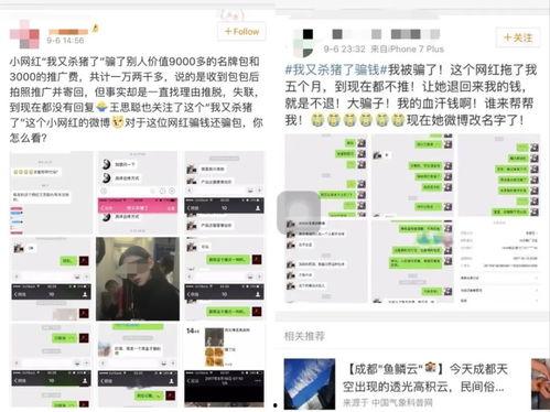 网红吃瓜聊天群,揭秘娱乐圈幕后故事