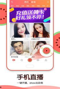 吃瓜免费直播播放,吃瓜群众狂欢时刻