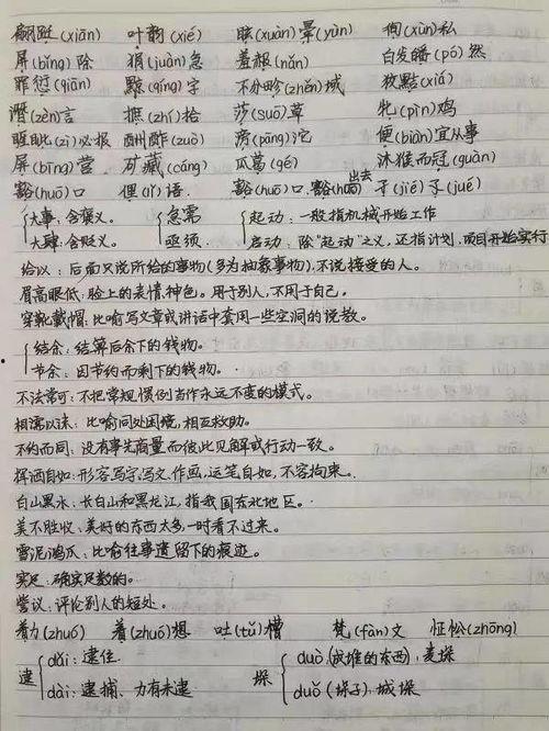 红楼四子石头爆料视频,石头爆料视频背后的惊人真相