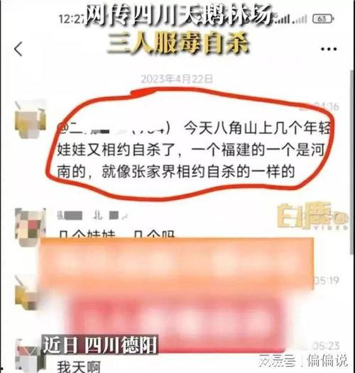 爆料健康知识大全最新,全方位守护您的身心健康