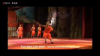 少林寺在线观看,传奇武术，在线重温经典