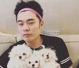 网友爆料张云龙视频大全,网友爆料精彩瞬间集锦