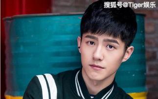 网友爆料张云龙视频大全,网友爆料精彩瞬间集锦