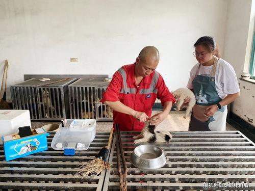 智祥法师爆料视频,佛教界内幕大公开