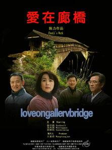 电影桥在线观看,穿越时空的观影之旅