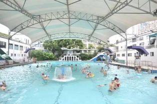 游泳池网红爆料视频播放,揭秘网红圈幕后故事