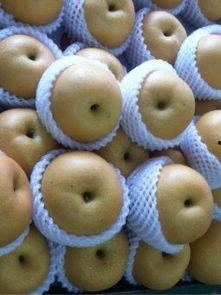 陈氏果业爆料视频,爆料视频背后的行业真相