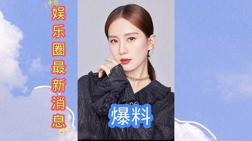 娱乐圈爆料边框制作,揭秘明星背后的故事与真相