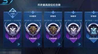 厨神最新爆料网站,最新爆料网站带你探秘美食江湖