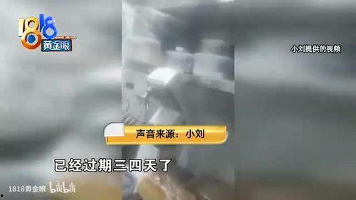 西点师爆料视频,揭秘烘焙界的神秘面纱