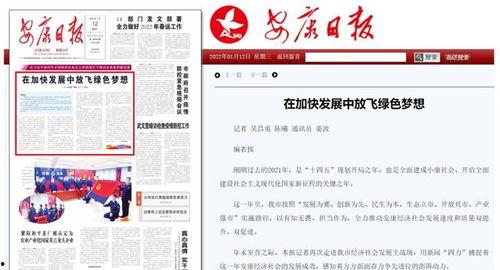 安康头条最新爆料,揭秘重大事件背后真相