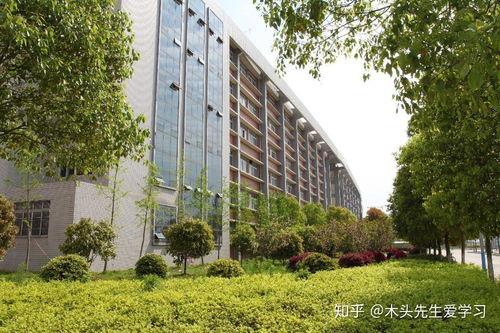 武昌工学院爆料新闻,揭秘校园内幕事件