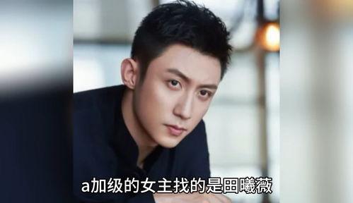 明星娱乐八卦大爆料视频,明星娱乐八卦大爆料视频全解析