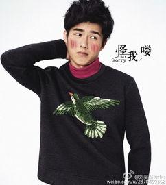 刘昊然娱乐爆料视频播放,揭秘明星幕后故事