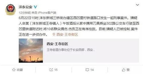 西安爆料事件最新消息,最新进展揭秘，真相逐渐浮出水面