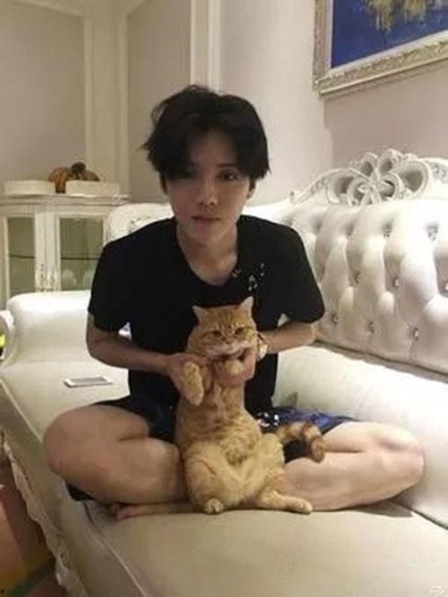 鹿晗少爷爆料事件视频,揭秘娱乐圈背后真相