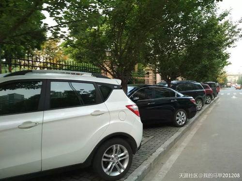 重庆停车爆料事件最新,揭露城市停车难题与治理挑战