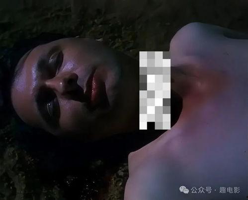 风月片在线观看,揭秘网络世界中的激情与欲望