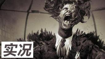 恐怖之源在线观看,揭秘惊悚背后的真实面纱