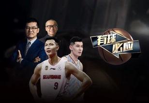 杨毅爆料男篮视频回放,男篮视频回放背后的真相与争议