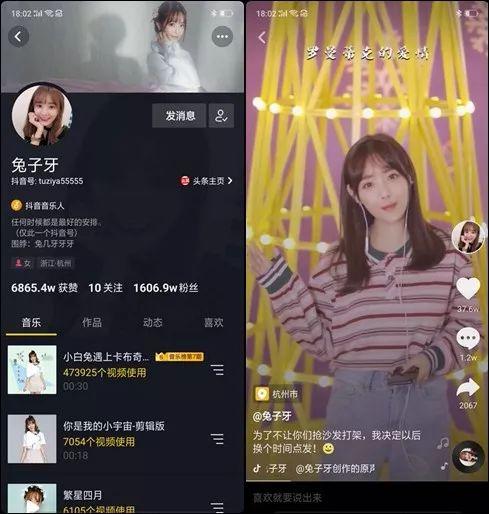 兔姐爆料小蝶蝶视频全集,小蝶蝶视频全集大揭秘，精彩瞬间一网打尽！