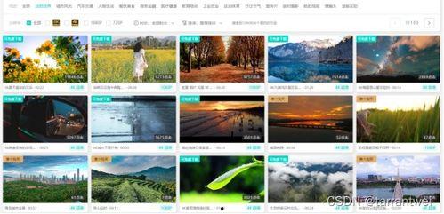 爆料短视频 素材下载,爆款素材下载背后的秘密
