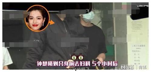 钟楚曦恋情爆料视频,视频揭秘明星甜蜜瞬间