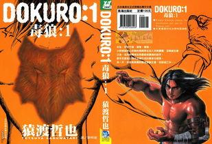 毒狼在线观看,揭秘网络暗流涌动的惊悚世界